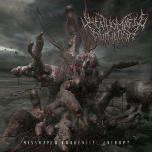 UNFATHOMABLE RUINATION "Misshapen Congenital Entropy"
