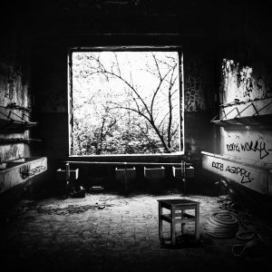 LIKE DESOLATE LIKE TRUE "Don't Worry... Die Happy"