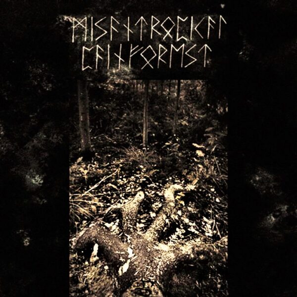 MISANTROPICAL PAINFOREST Firm Grip of the Roots