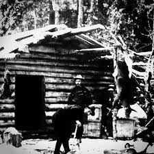 NORTHERN "Cabin Fever"