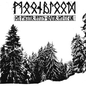 Moonblood The winter falls over the land 2CD